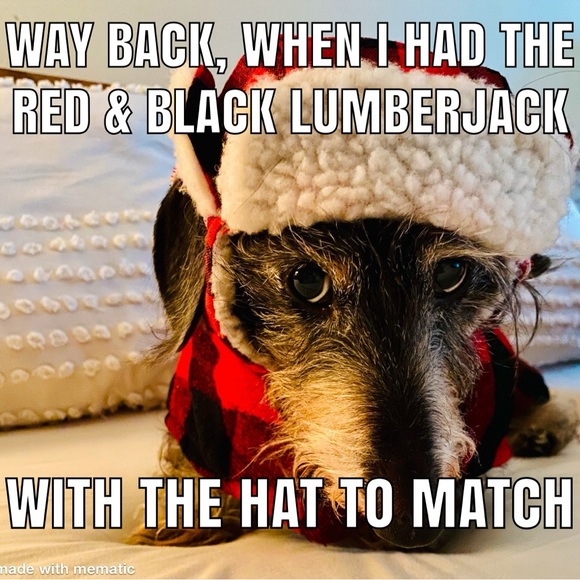 "You Can Git It"
๐ค๐พโค๏ธ๐ธ - Picture 7 of 8